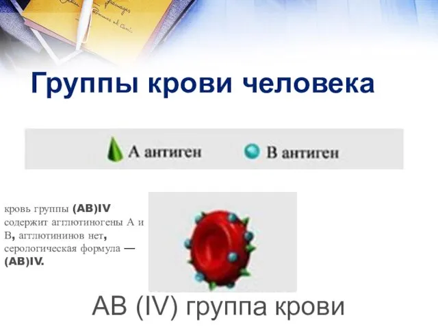 Группы крови человека AB (IV) группа крови кровь группы (AB)IV