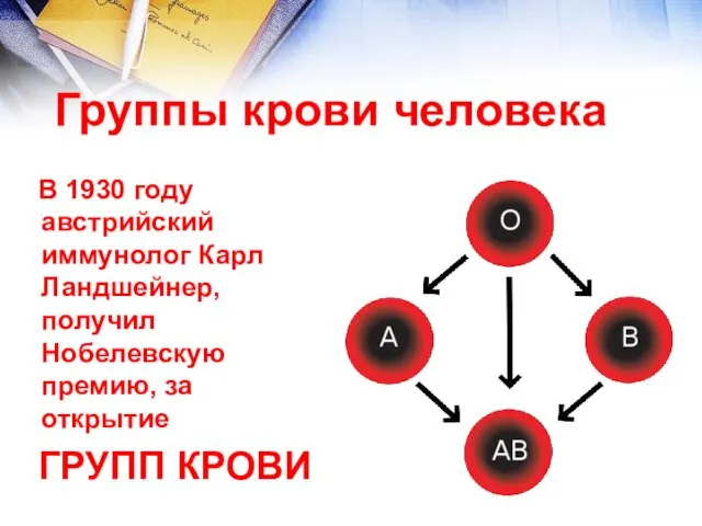 Группы крови человека В 1930 году австрийский иммунолог Карл Ландшейнер,