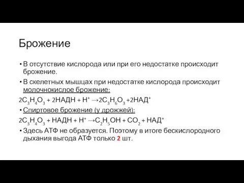 Брожение В отсутствие кислорода или при его недостатке происходит брожение.