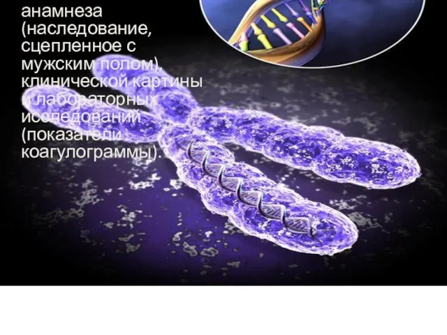 Диагноз гемофилии основан на данных генетического анамнеза (наследование, сцепленное с