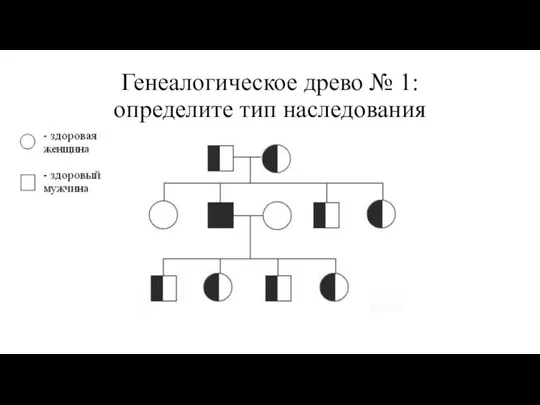 Генеалогическое древо № 1: определите тип наследования