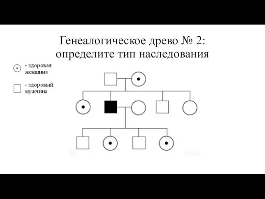 Генеалогическое древо № 2: определите тип наследования