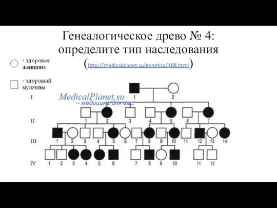 Генеалогическое древо № 4: определите тип наследования (http://medicalplanet.su/genetica/188.html)