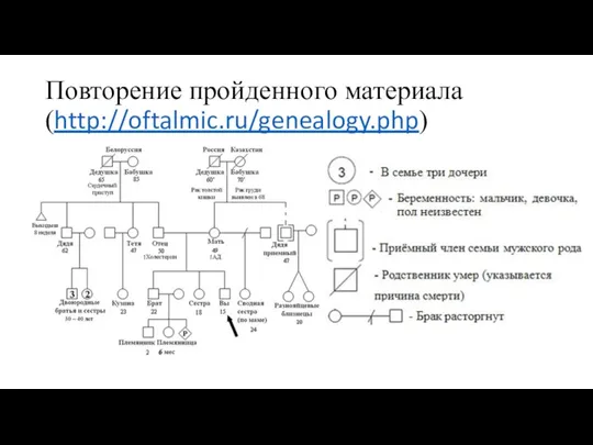 Повторение пройденного материала (http://oftalmic.ru/genealogy.php)