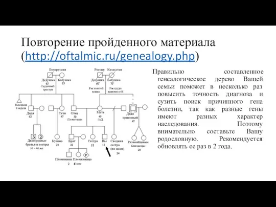 Повторение пройденного материала (http://oftalmic.ru/genealogy.php) Правильно составленное генеалогическое дерево Вашей семьи поможет в несколько