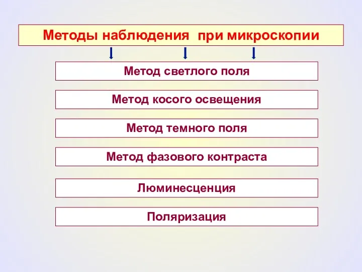 Методы наблюдения при микроскопии Метод светлого поля Метод косого освещения