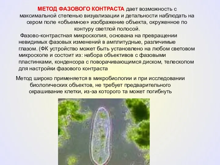 МЕТОД ФАЗОВОГО КОНТРАСТА дает возможность с максимальной степенью визуализации и