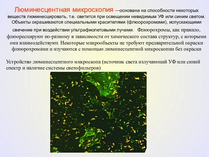 Люминесцентная микроскопия —основана на способности некоторых веществ люминесцировать, т.е. светится