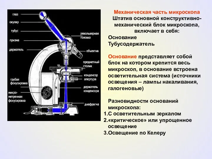 Механическая часть микроскопа Штатив основной конструктивно-механический блок микроскопа, включает в