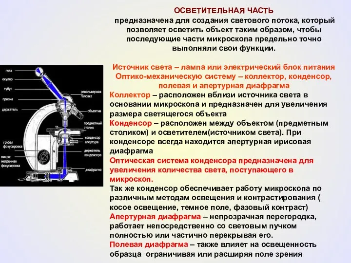 ОСВЕТИТЕЛЬНАЯ ЧАСТЬ предназначена для создания светового потока, который позволяет осветить