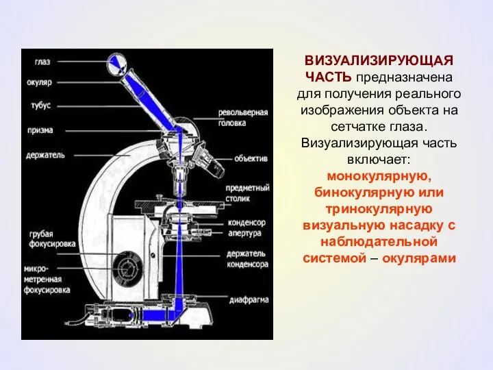 ВИЗУАЛИЗИРУЮЩАЯ ЧАСТЬ предназначена для получения реального изображения объекта на сетчатке