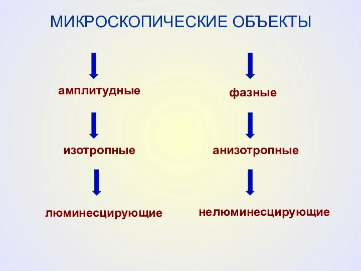 МИКРОСКОПИЧЕСКИЕ ОБЪЕКТЫ амплитудные фазные изотропные анизотропные люминесцирующие нелюминесцирующие