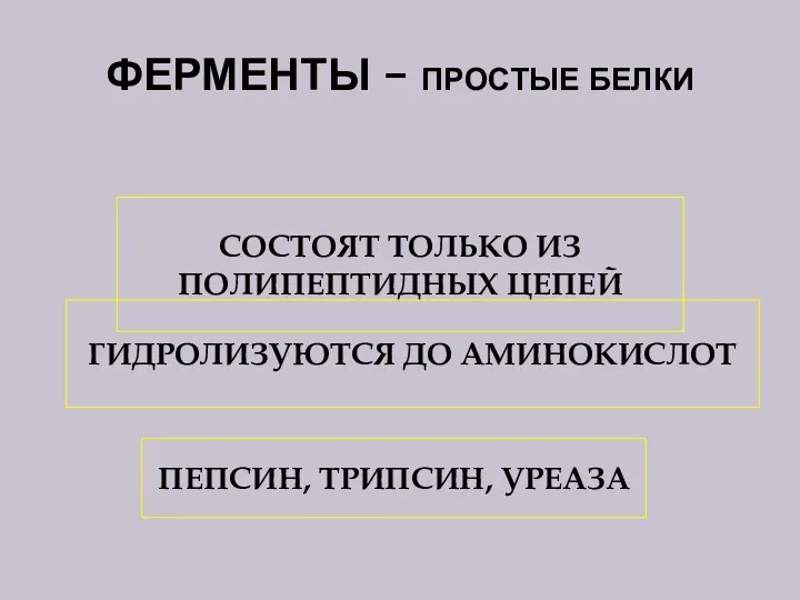 ФЕРМЕНТЫ – ПРОСТЫЕ БЕЛКИ СОСТОЯТ ТОЛЬКО ИЗ ПОЛИПЕПТИДНЫХ ЦЕПЕЙ ГИДРОЛИЗУЮТСЯ ДО АМИНОКИСЛОТ ПЕПСИН, ТРИПСИН, УРЕАЗА