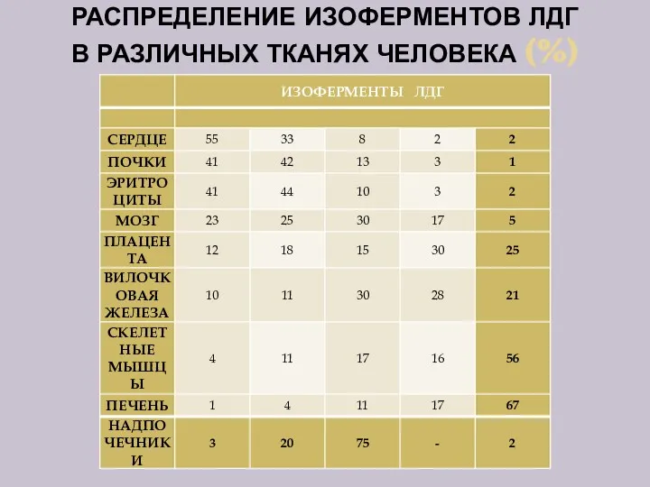 РАСПРЕДЕЛЕНИЕ ИЗОФЕРМЕНТОВ ЛДГ В РАЗЛИЧНЫХ ТКАНЯХ ЧЕЛОВЕКА (%)