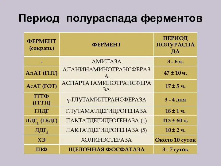 Период полураспада ферментов