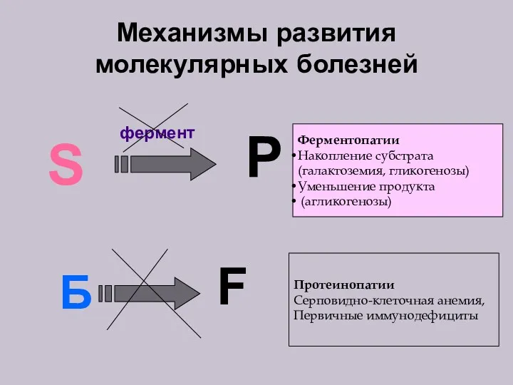 Механизмы развития молекулярных болезней S P фермент Ферментопатии Накопление субстрата