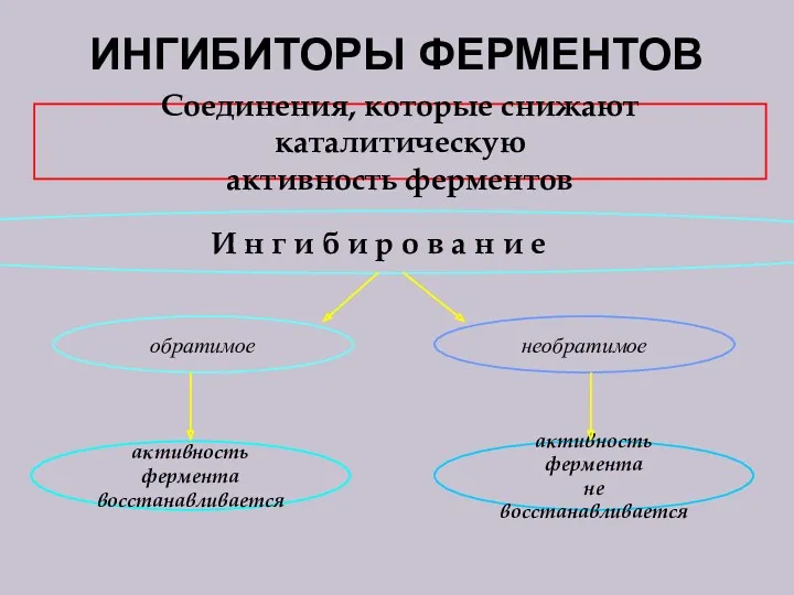 ИНГИБИТОРЫ ФЕРМЕНТОВ Соединения, которые снижают каталитическую активность ферментов И н