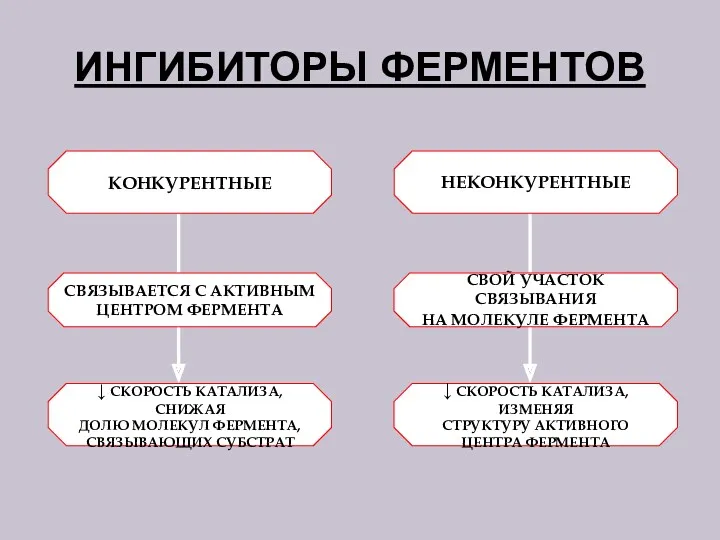 ИНГИБИТОРЫ ФЕРМЕНТОВ КОНКУРЕНТНЫЕ НЕКОНКУРЕНТНЫЕ СВЯЗЫВАЕТСЯ С АКТИВНЫМ ЦЕНТРОМ ФЕРМЕНТА ↓