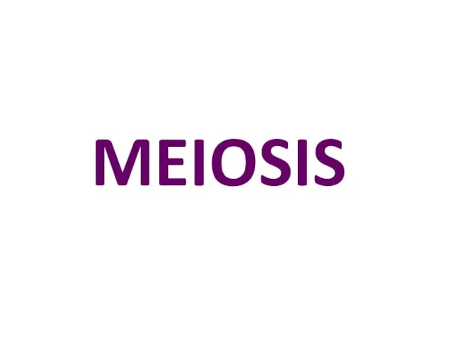 MEIOSIS