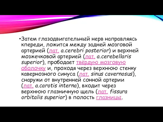 Затем глазодвигательный нерв направляясь кпереди, ложится между задней мозговой артерией