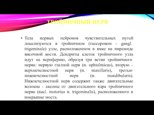 ТРОЙНИЧНЫЙ НЕРВ Тела первых нейронов чувствительных путей локализуются в тройнич­ном