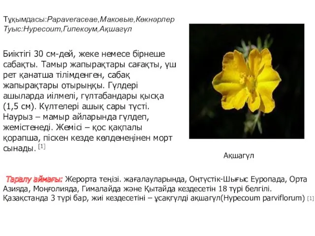 Тұқымдасы:Papaveraceae,Маковые,Көкнәрлер Туыс:Hypecoum,Гипекоум,Ақшагүл Таралу аймағы: Жерорта теңізі. жағалауларында, Оңтүстік-Шығыс Еуропада, Орта