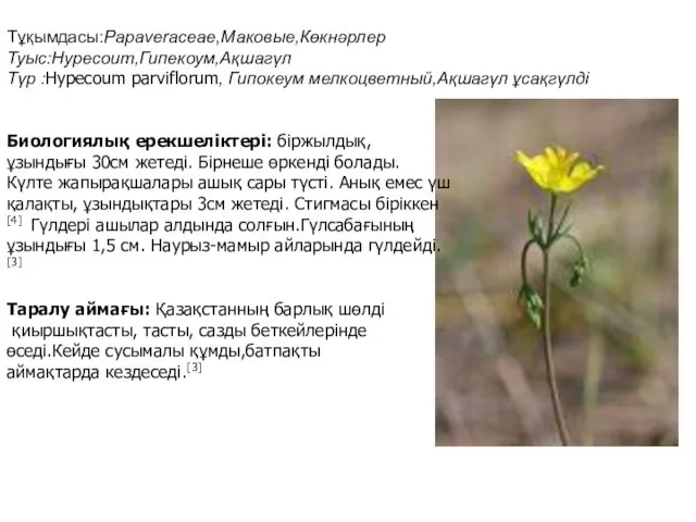 Тұқымдасы:Papaveraceae,Маковые,Көкнәрлер Туыс:Hypecoum,Гипекоум,Ақшагүл Түр :Hypecoum parviflorum, Гипокеум мелкоцветный,Ақшагүл ұсақгүлді Биологиялық ерекшеліктері: