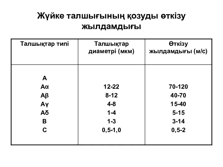 Жүйке талшығының қозуды өткізу жылдамдығы