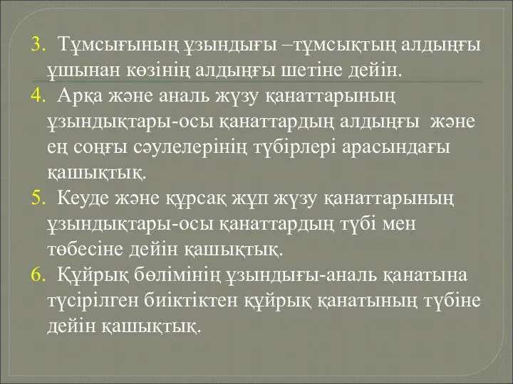 3. Тұмсығының ұзындығы –тұмсықтың алдыңғы ұшынан көзінің алдыңғы шетіне дейін.