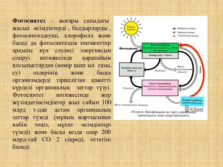 Фотосинтез – жоғары сатыдағы жасыл өсімдіктерді , балдырларды , фотосинтездеуші, хлорофилл және басқа