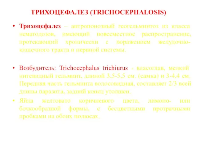 ТРИХОЦЕФАЛЕЗ (TRICHOCEPHALOSIS) Трихоцефалез – антропонозный геогельминтоз из класса нематодозов, имеющий