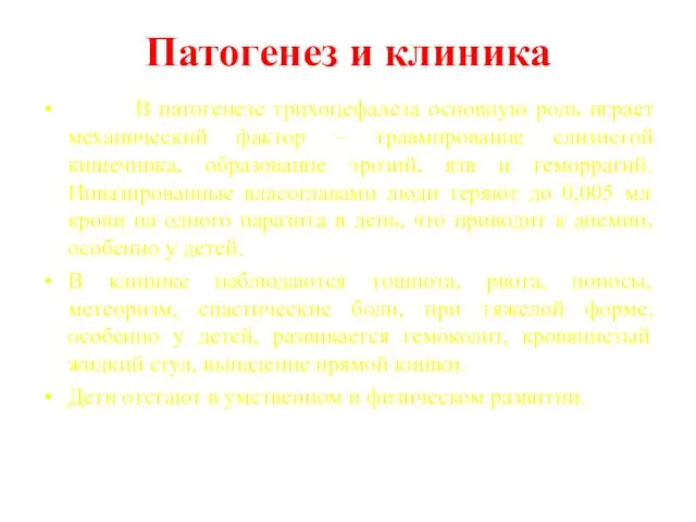 Патогенез и клиника В патогенезе трихоцефалеза основную роль играет механический