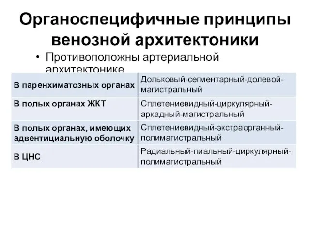 Органоспецифичные принципы венозной архитектоники Противоположны артериальной архитектонике