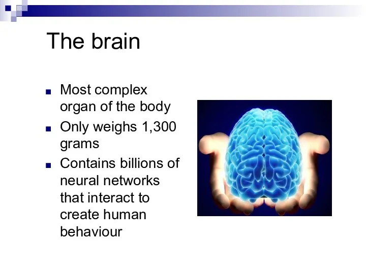 The brain Most complex organ of the body Only weighs