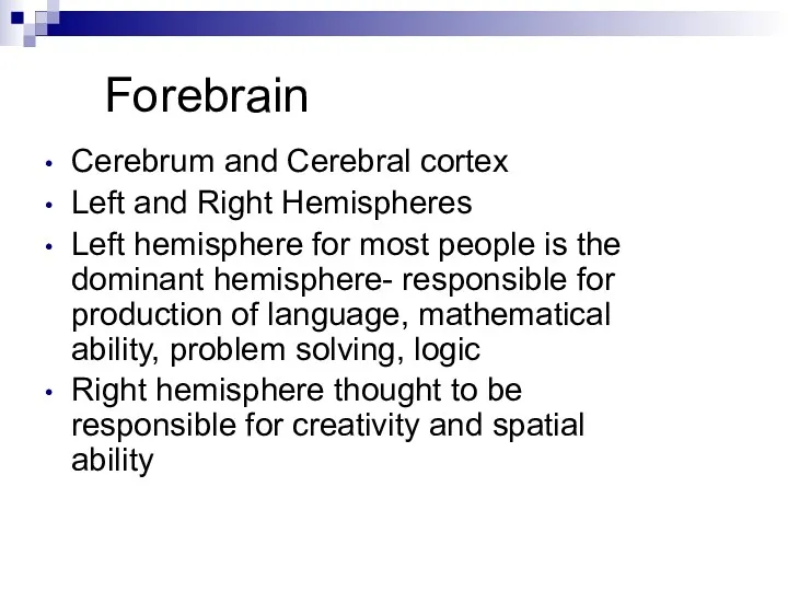 Forebrain Cerebrum and Cerebral cortex Left and Right Hemispheres Left