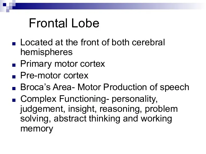 Frontal Lobe Located at the front of both cerebral hemispheres