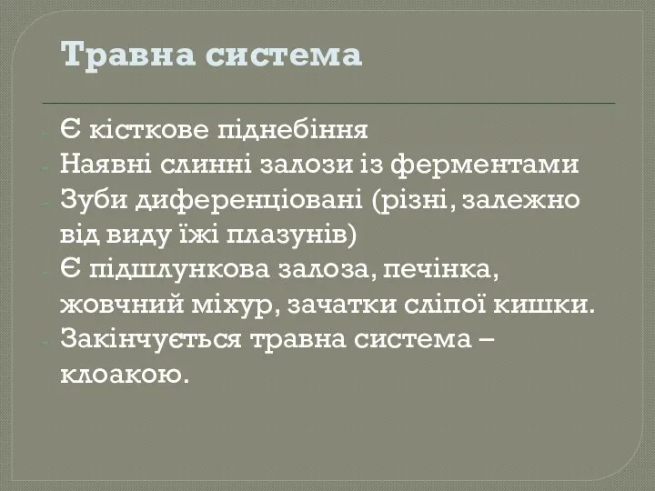 Травна система Є кісткове піднебіння Наявні слинні залози із ферментами