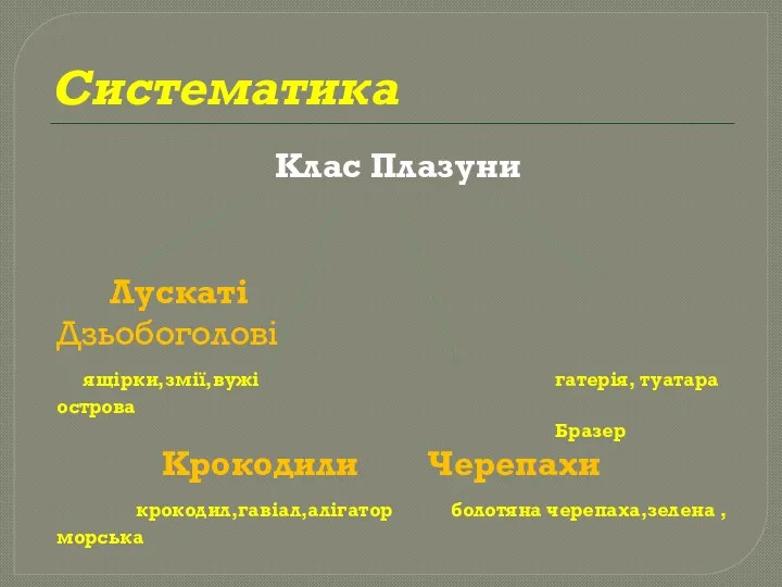 Систематика Клас Плазуни Лускаті Дзьобоголові ящірки,змії,вужі гатерія, туатара острова Бразер