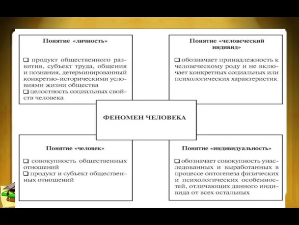 Человек – биосоциальная система