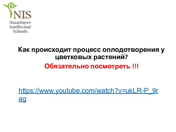 Как происходит процесс оплодотворения у цветковых растений? Обязательно посмотреть !!! https://www.youtube.com/watch?v=ukLR-P_9rag