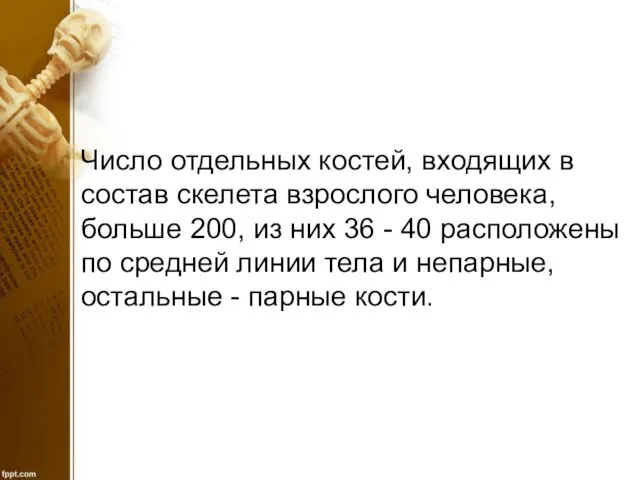 Число отдельных костей, входящих в состав скелета взрослого человека, больше 200, из них