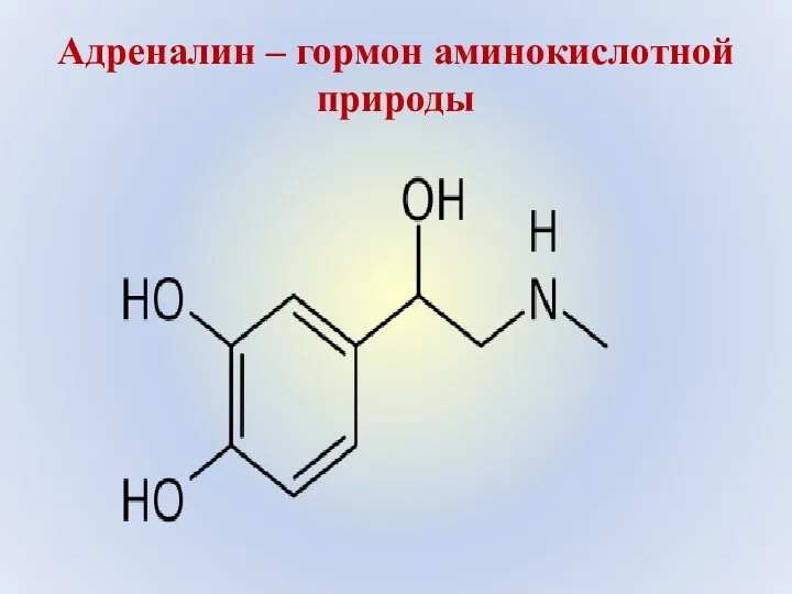 Адреналин – гормон аминокислотной природы