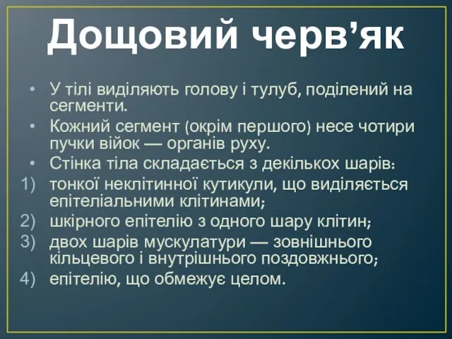 Дощовий черв’як У тілі виділяють голову і тулуб, поділений на