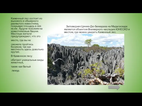 Заповедник Цинжи-Дю-Бемараха на Мадагаскаре является объектом Всемирного наследия ЮНЕСКО и