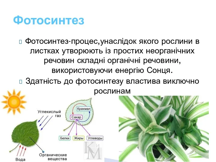 Фотосинтез-процес,унаслідок якого рослини в листках утворюють із простих неорганічних речовин складні органічні речовини,використовуючи