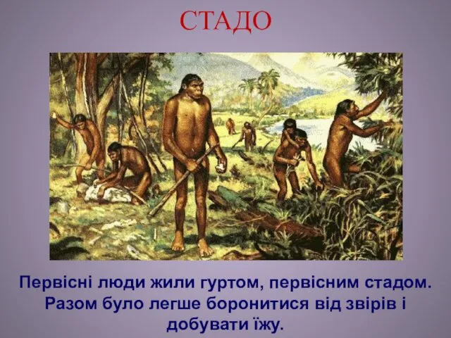 СТАДО Первісні люди жили гуртом, первісним стадом. Разом було легше боронитися від звірів і добувати їжу.