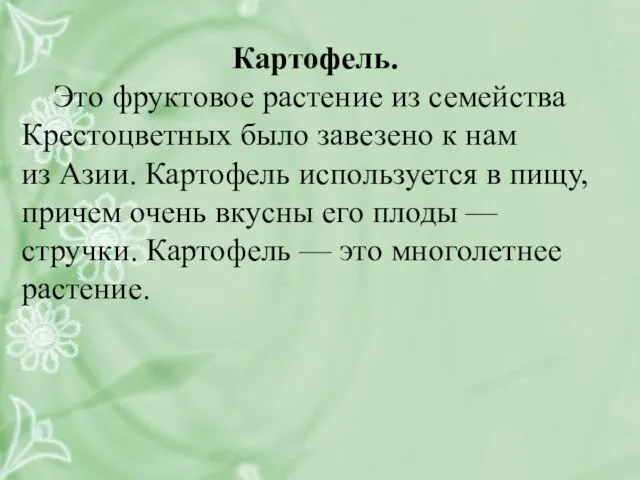 Картофель. Это фруктовое растение из семейства Крестоцветных было завезено к