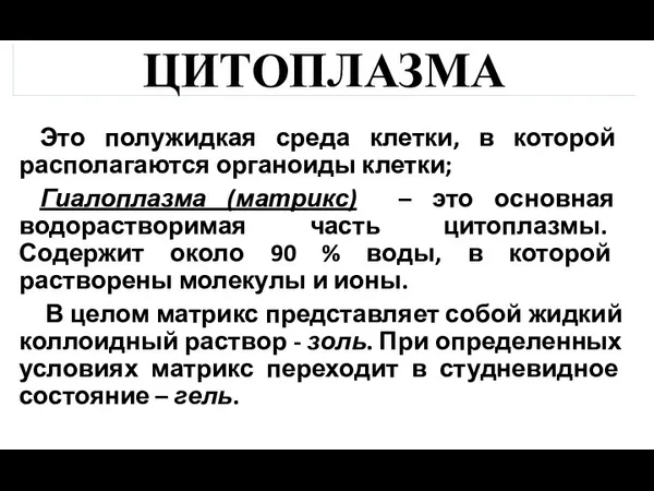 ЦИТОПЛАЗМА Это полужидкая среда клетки, в которой располагаются органоиды клетки;