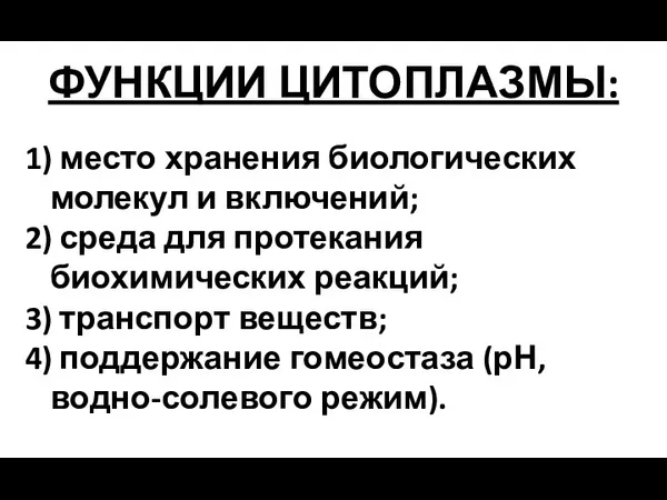 ФУНКЦИИ ЦИТОПЛАЗМЫ: 1) место хранения биологических молекул и включений; 2)