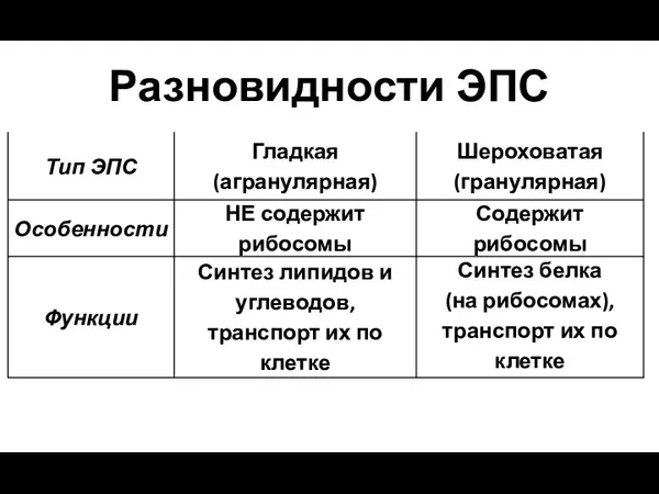 Разновидности ЭПС